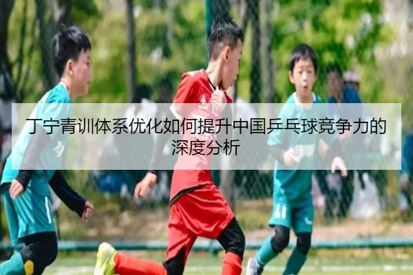丁宁青训体系优化如何提升中国乒乓球竞争力的深度分析